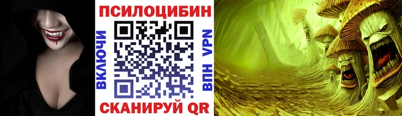 Купить  Могоча  Псилоцибиновые грибы прущие грибы 
